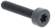 SCREW ITXSCM INTERNAL TORX SOC