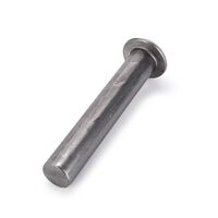 RUNDKOPFNIETE 5 X 28 MM