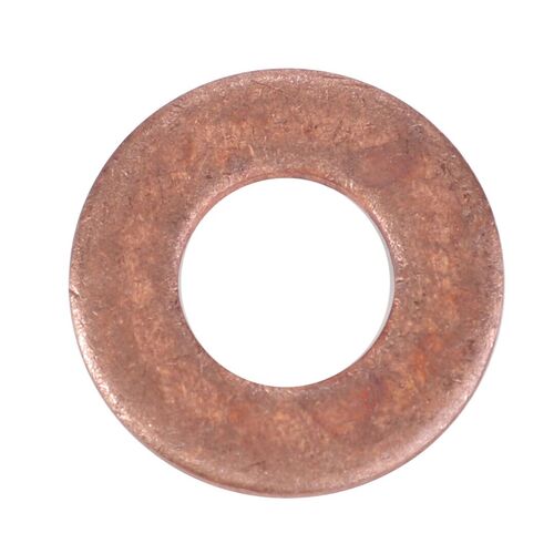 Dichtring  