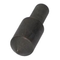 BOLZEN