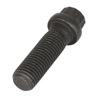 SCHRAUBE M16(12-PUNKT)
