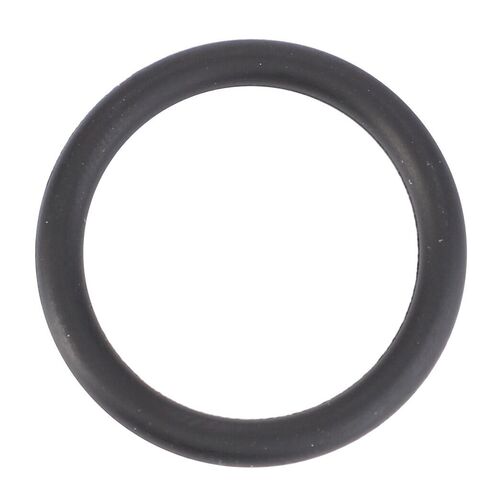 Dichtring  