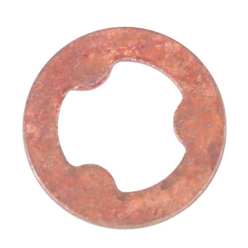 Dichtring  