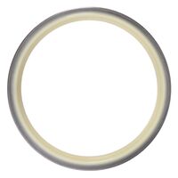 DICHTRING