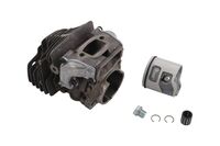CYLINDER ASSY WITH PISTON H550