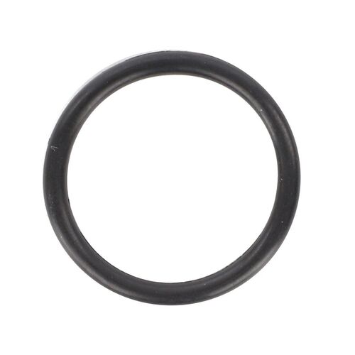 Massey Ferguson O-Ring  