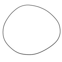 O-RING