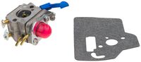 CARBURETTOR KIT RUIXING!