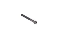 SCREW ITXSCM INTERNAL TORX SOC