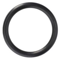 O-RING