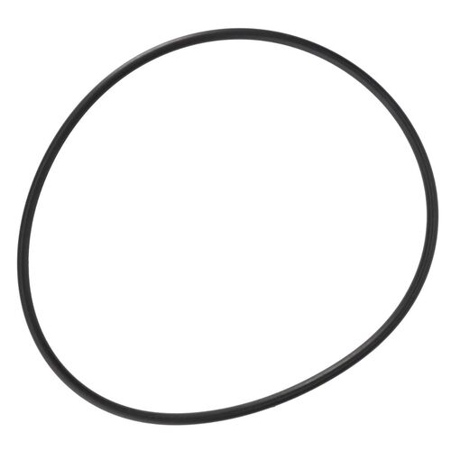 Massey Ferguson O-Ring  
