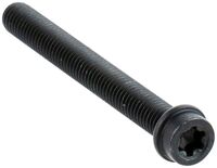 SCREW ITXSCM INTERNAL TORX SOC
