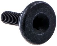 SCREW HANDGUARD HANDGUARD M5X1