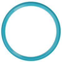 DICHTRING
