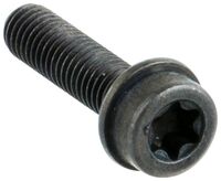 SCREW ITXSCFM INTERNAL TORX SO