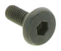 SCREW M5X12.5 10.9 ZN/FE