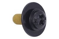 SCREW COMBI INTERNAL TORX PAN