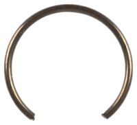 RING Z130041320