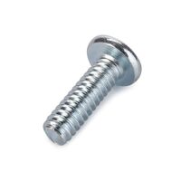 SCHLITZSCHRAUBE