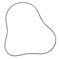O-RING