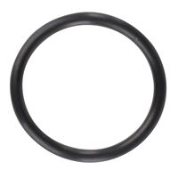 O-RING