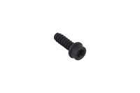 SCREW ITXSCFT PW5.5X16 T27 8.
