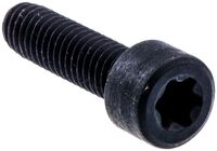 BOLT INTERNAL TORX SOCKET HEAD