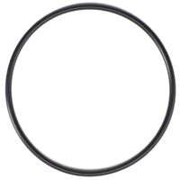 O-RING (THERMOSTAT)