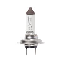 GLUEHBIRNE H7 12V/55W