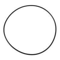O-RING