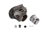 CYLINDER ASSY WITH PISTON D46