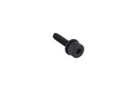 SCREW INTERNAL TORX SOCKET HEA