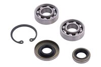 SEAL KIT AND BEARINGS!