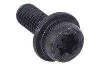 BOLT COMBI INTERNAL TORX HEAD