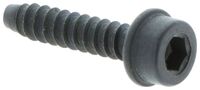 SCREW IHSCFT PW4.8X22 CH DS