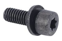 BOLT INTERNAL TORX SOCKET HEAD