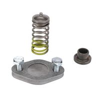 DRUCKVENTILSATZ