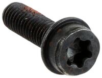 SCREW ITXSCFM INTERNAL TORX SO