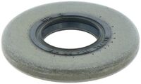 SEALING RADIAL