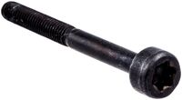 SCREW ITXSCM INTERNAL TORX SOC