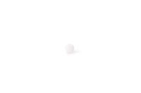 BALL 6,35MM POM!