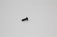 Schraube M 8x25 ISO7380-2-ISR 10.9