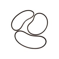 DRIVE BELT SPA 925 PACKAGE OF