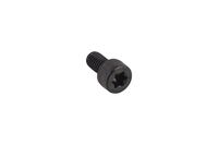 BOLT INTERNAL TORX SOCKET HEAD