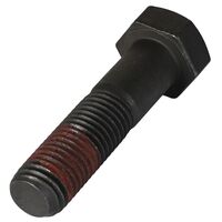 SCHRAUBE M20