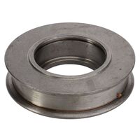 RIEMENSPANNER