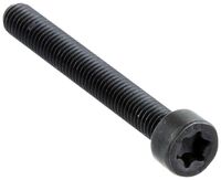SCREW ITXSCM INTERNAL TORX SOC