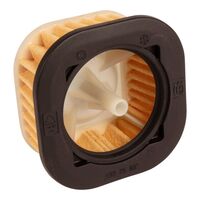 AIR FILTER ASSY MESH NW