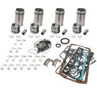 MOTORREPSATZ(SISU 420DSRE TIER 2)