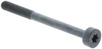 SCREW ITXSCM INTERNAL TORX SOC